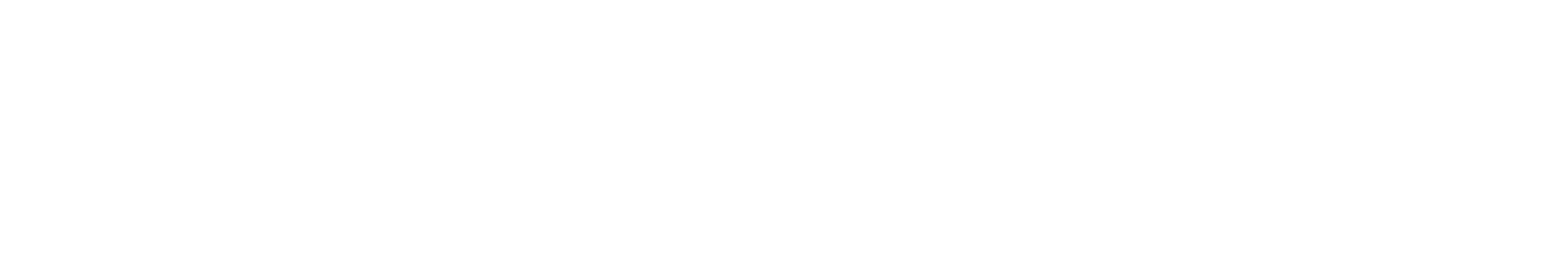 logo CNR-IBE